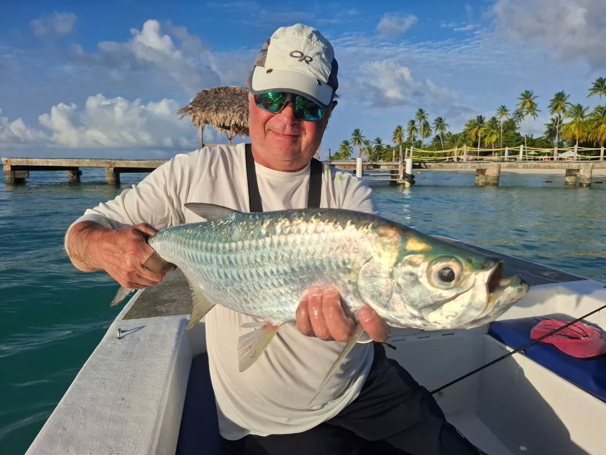 A tarpon held boatside, caught on the fly