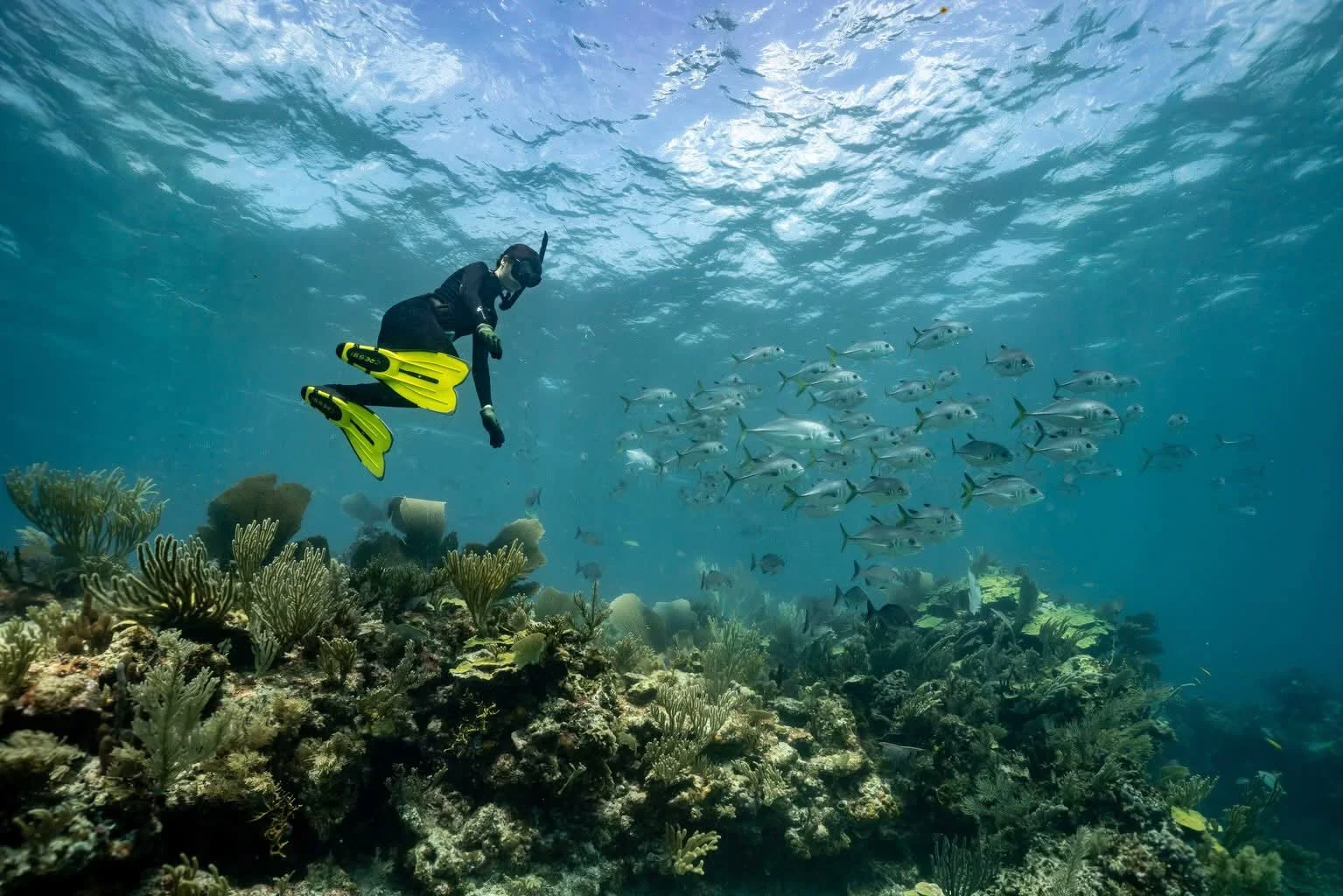 A snorkeller in fins gliding over the coral heads