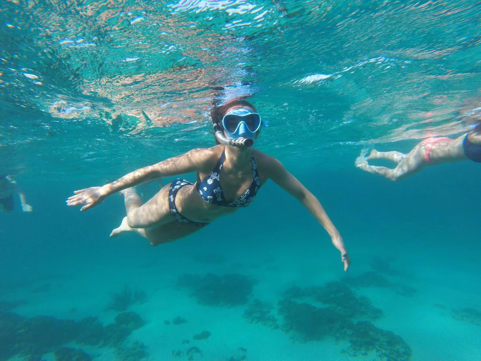 A guest snorkelling at the surface in clear turquoise water over the reef
