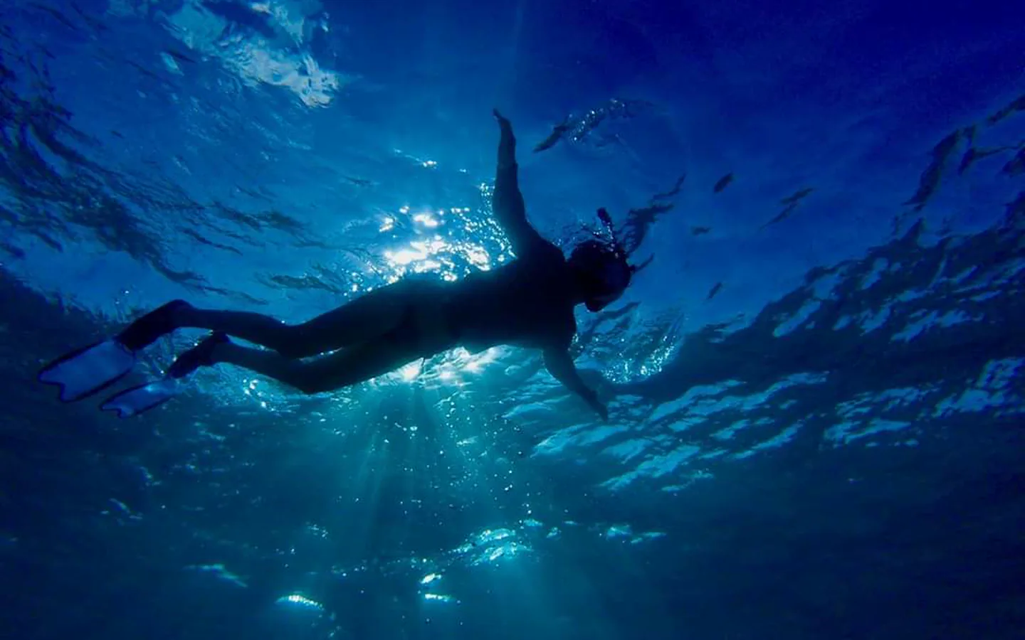 A snorkeler silhouetted against the surface with sunbeams coming down through the blue