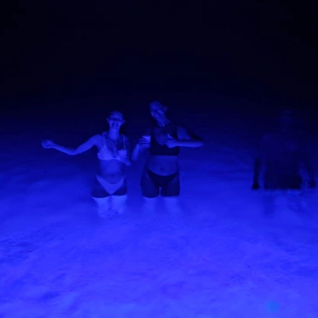 Bioluminescence tour