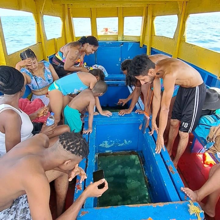 Glass bottom boat reef tour