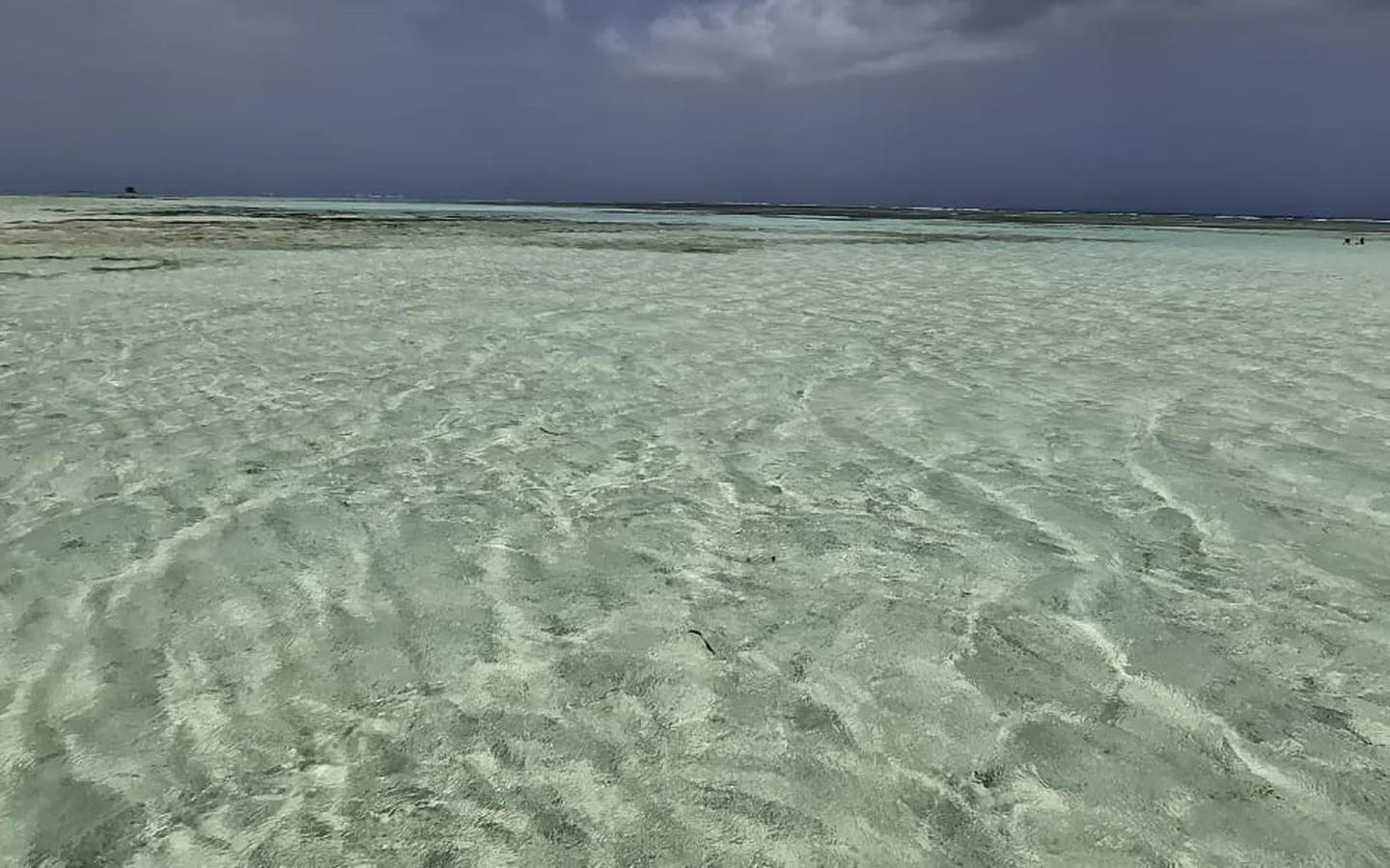 The waist-deep sandbar of the Nylon Pool, clear water running out to the reef line