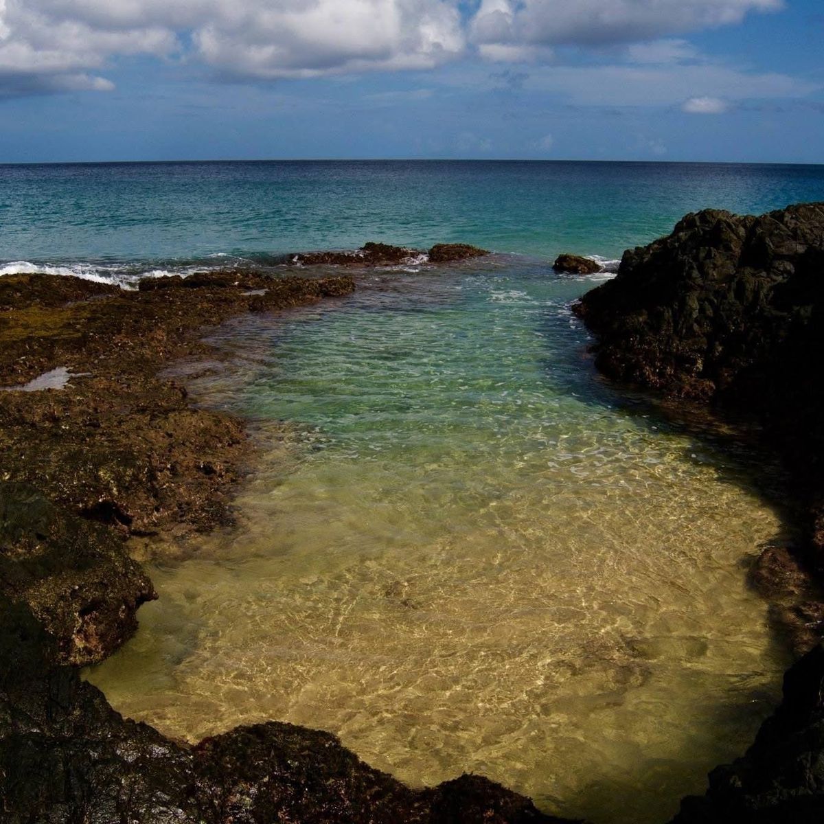 A tide pool in the rocks